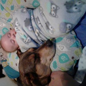 Meet your Posher, Chris